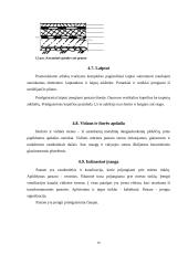 Išorinių sienų įrengimo technologija ir organizavimas 20 puslapis