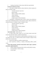 Išorinių sienų įrengimo technologija ir organizavimas 4 puslapis