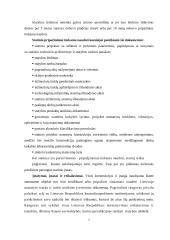 Išorinių sienų įrengimo technologija ir organizavimas 6 puslapis