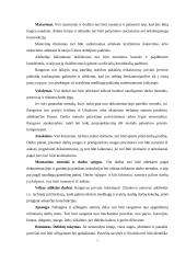 Išorinių sienų įrengimo technologija ir organizavimas 8 puslapis