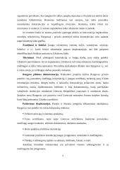 Išorinių sienų įrengimo technologija ir organizavimas 9 puslapis