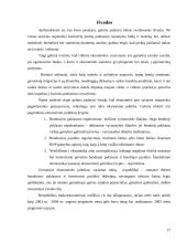 Ekonominio augimo teorija 17 puslapis