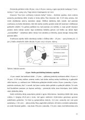 Jaunimo įsidarbinimo problemos 11 puslapis