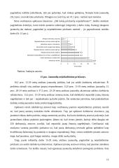 Jaunimo įsidarbinimo problemos 12 puslapis