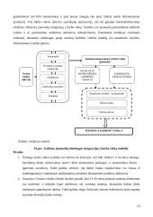 Jaunimo įsidarbinimo problemos 15 puslapis