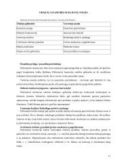 Elektroninės komercijos rūšys, kategorijos, reikalavimai, veikla bei principai 11 puslapis