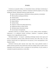 Elektroninės komercijos rūšys, kategorijos, reikalavimai, veikla bei principai 15 puslapis