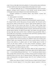 Jaunųjų  boksininkų parengtumo kaita  parengiamajame laikotarpyje 12 puslapis