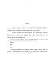 Etiketas ir jo elementai: išvaizda 3 puslapis