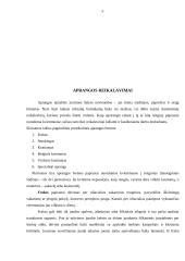 Etiketas ir jo elementai: išvaizda 5 puslapis