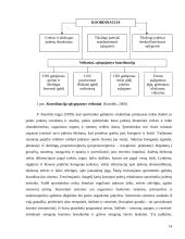 Jaunųjų futbolininkų koordinacinių gebėjimų kaita 14 puslapis