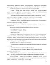 Jaunųjų futbolininkų koordinacinių gebėjimų kaita 15 puslapis