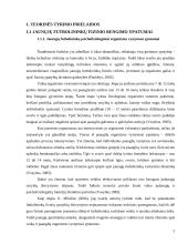 Jaunųjų futbolininkų koordinacinių gebėjimų kaita 5 puslapis