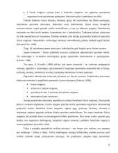 Jaunųjų futbolininkų koordinacinių gebėjimų kaita 8 puslapis