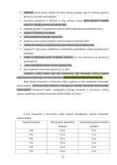 Finansinė ir investicinė veikla. Pagautė. Netekimai 12 puslapis