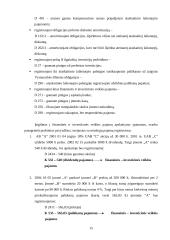 Finansinė ir investicinė veikla. Pagautė. Netekimai 15 puslapis