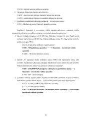 Finansinė ir investicinė veikla. Pagautė. Netekimai 19 puslapis