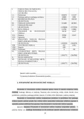 Finansinė ir investicinė veikla. Pagautė. Netekimai 10 puslapis