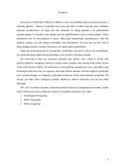 Fotografavimas 2 puslapis