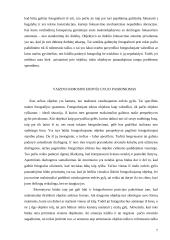 Fotografavimas 7 puslapis