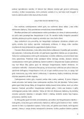 Fotografavimas 9 puslapis