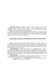 Fotografija. Fotografijos aparatas 4 puslapis