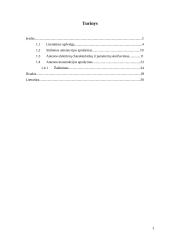 Kryptinė antena duomenų perdavimo tinklams 2 puslapis