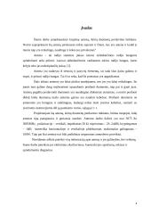 Kryptinė antena duomenų perdavimo tinklams 3 puslapis