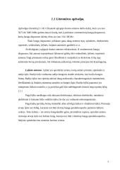 Kryptinė antena duomenų perdavimo tinklams 4 puslapis