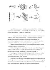 Kryptinė antena duomenų perdavimo tinklams 5 puslapis