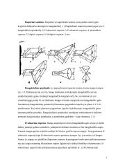 Kryptinė antena duomenų perdavimo tinklams 6 puslapis