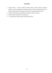 Gamybos kaštai, trumpojo ir ilgojo laikotarpio kaštai 13 puslapis