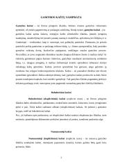 Gamybos kaštai, trumpojo ir ilgojo laikotarpio kaštai 3 puslapis