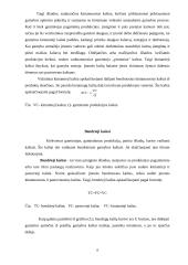 Gamybos kaštai, trumpojo ir ilgojo laikotarpio kaštai 6 puslapis