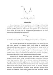 Gamybos kaštai, trumpojo ir ilgojo laikotarpio kaštai 7 puslapis