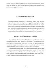 Gamybos kaštai, trumpojo ir ilgojo laikotarpio kaštai 8 puslapis