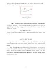 Gamybos kaštai, trumpojo ir ilgojo laikotarpio kaštai 10 puslapis