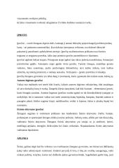 Gyvenimo būdo pasirinkimą sąlygojantys veiksniai 6 puslapis