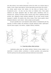 Malūnų pritaikymas Panevėžio apskrities turizmo plėtrai 12 puslapis