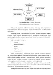 Malūnų pritaikymas Panevėžio apskrities turizmo plėtrai 14 puslapis