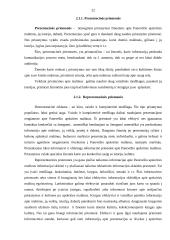 Malūnų pritaikymas Panevėžio apskrities turizmo plėtrai 17 puslapis