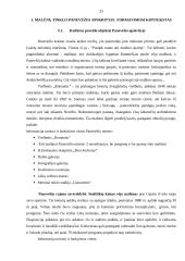 Malūnų pritaikymas Panevėžio apskrities turizmo plėtrai 20 puslapis