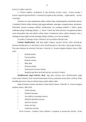 Malūnų pritaikymas Panevėžio apskrities turizmo plėtrai 3 puslapis