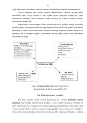 Malūnų pritaikymas Panevėžio apskrities turizmo plėtrai 7 puslapis