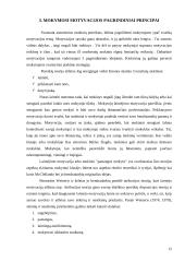 Mokymosi motyvacijos problema 11 puslapis