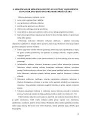 Mokymosi motyvacijos problema 13 puslapis