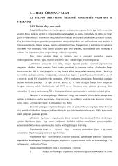 Moksleivių fizinį aktyvumą skatinantys veiksniai 4 puslapis