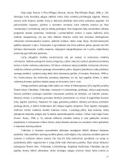 Moterų diskriminavimas Lietuvos darbo rinkoje 17 puslapis