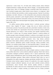 Moterų diskriminavimas Lietuvos darbo rinkoje 18 puslapis