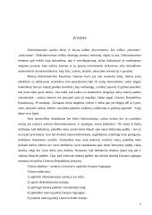 Moterų diskriminavimas Lietuvos darbo rinkoje 5 puslapis
